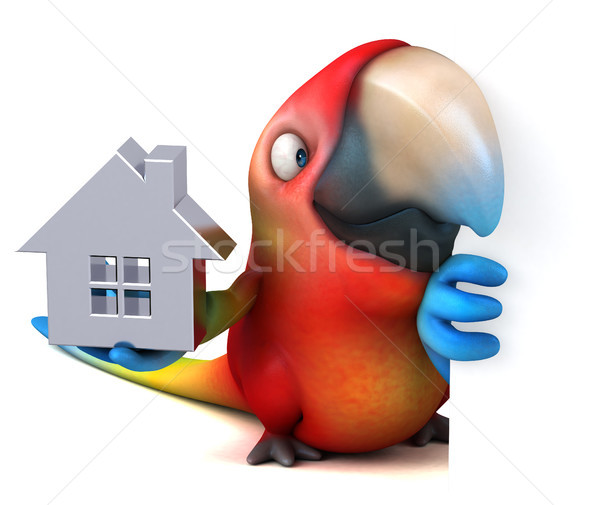 Distracţie papagal ochi acasă pasăre verde Imagine de stoc © julientromeur