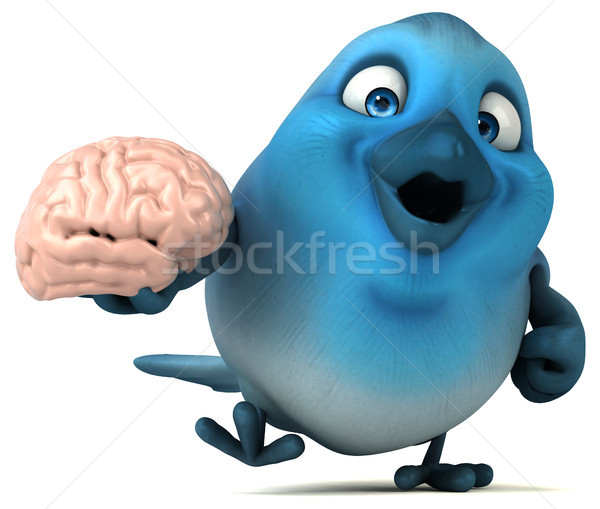 Blu uccello cervello comunicazione cartoon sociale Foto d'archivio © julientromeur
