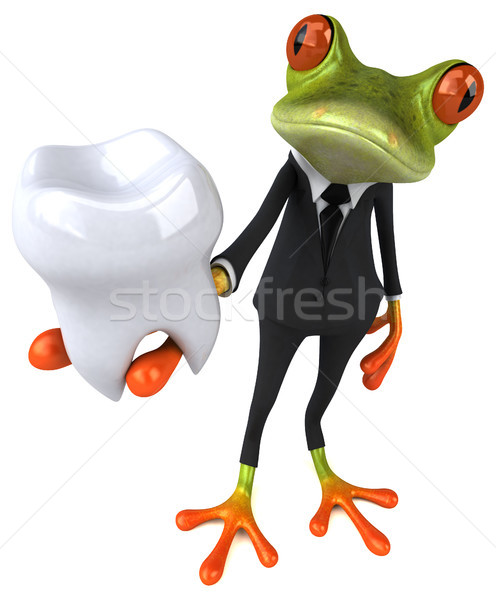 Fun frog Stock photo © julientromeur