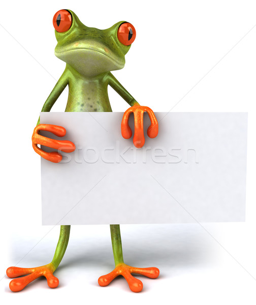 Frosch Natur grünen Tier Umwelt Stock foto © julientromeur