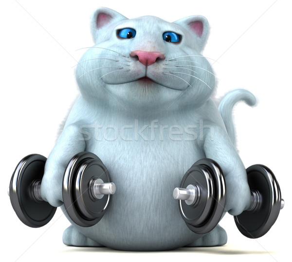 Zdjęcia stock: Zabawy · kot · 3d · ilustracji · fitness · biały · cartoon