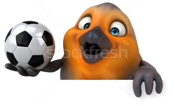 Czerwony piłka nożna piłka nożna pomarańczowy piersi ptaków Zdjęcia stock © julientromeur