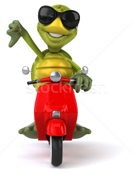 Distracţie broască ţestoasă bicicletă retro maşină tropical Imagine de stoc © julientromeur