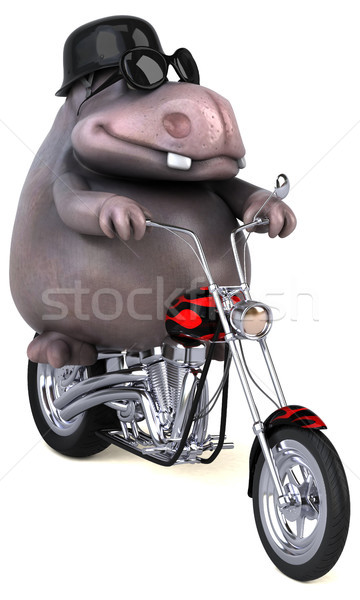 Fun hippo - 3D Illustration Stock photo © julientromeur