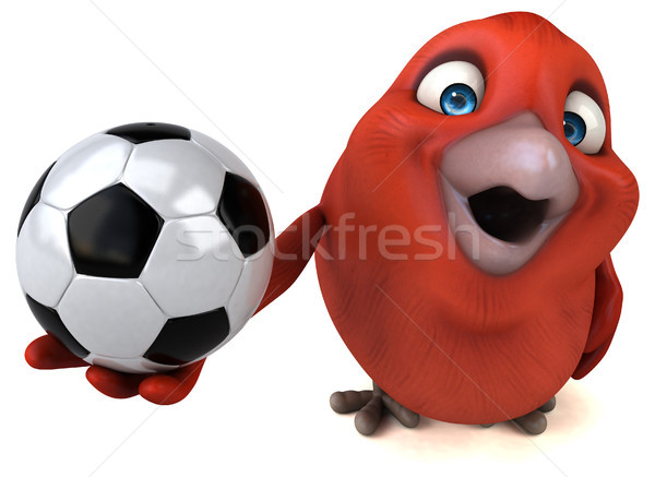 紅色 鳥 足球 橙 乳房 球 商業照片 © julientromeur