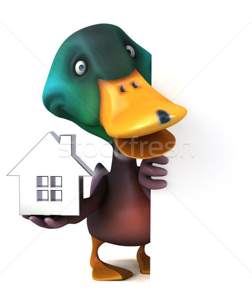 Duck Stock photo © julientromeur