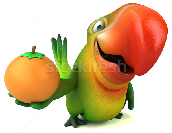 Amusement perroquet oeil fruits orange oiseau [[stock_photo]] © julientromeur