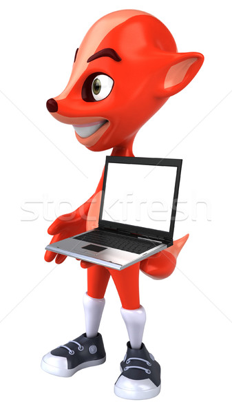 狐狸 性質 筆記本電腦 紅色 動物 毛皮 商業照片 © julientromeur