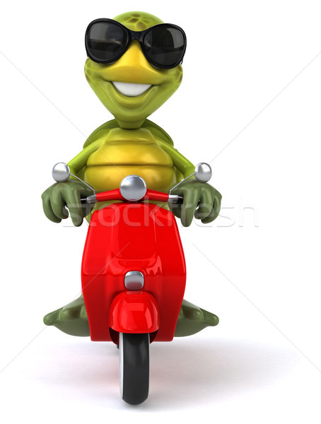 Stockfoto: Leuk · schildpad · fiets · retro · machine · tropische