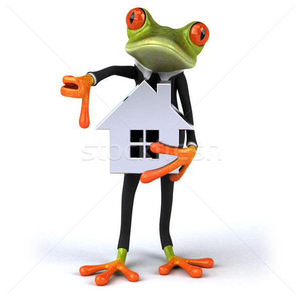 Zabawy żaba domu oka moda pracy Zdjęcia stock © julientromeur