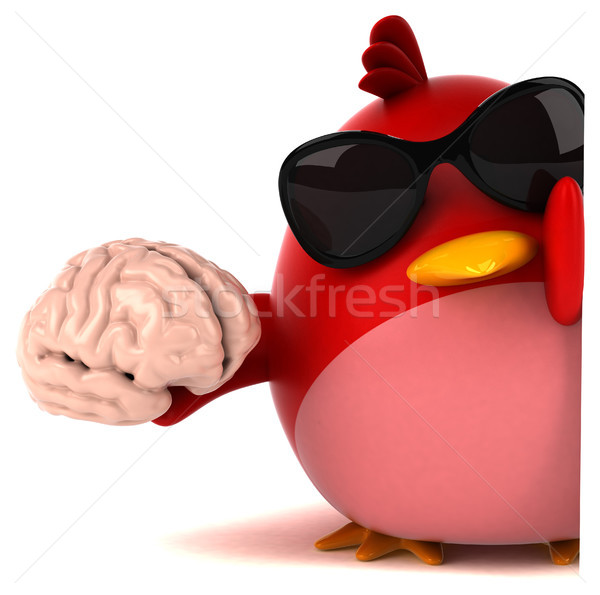 Vermelho pássaro ilustração 3d laranja peito cérebro Foto stock © julientromeur