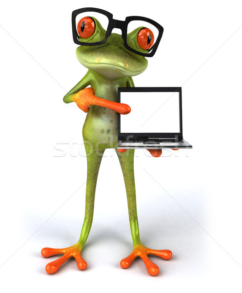 Foto stock: Diversão · sapo · computador · óculos · verde · tropical