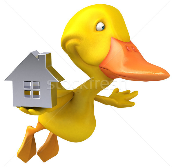 Stock photo: Duck