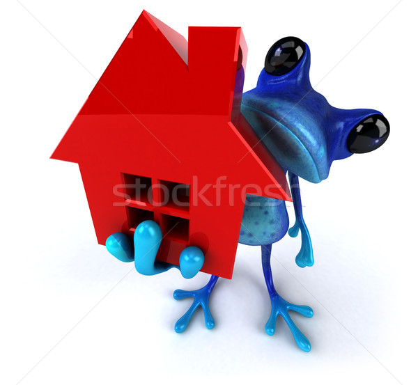 Fun frog Stock photo © julientromeur