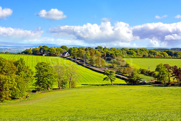 Belo primavera paisagem escócia céu grama Foto stock © Julietphotography