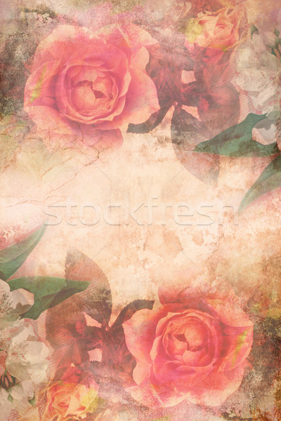 Zdjęcia stock: Romantyczny · różowy · róż · vintage · papieru · wzrosła