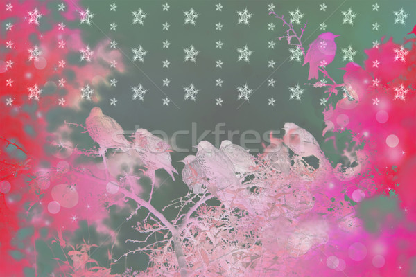 Dreamy winter scene with starling birds sittin in the tree branches in the garden  Stock photo © Julietphotography