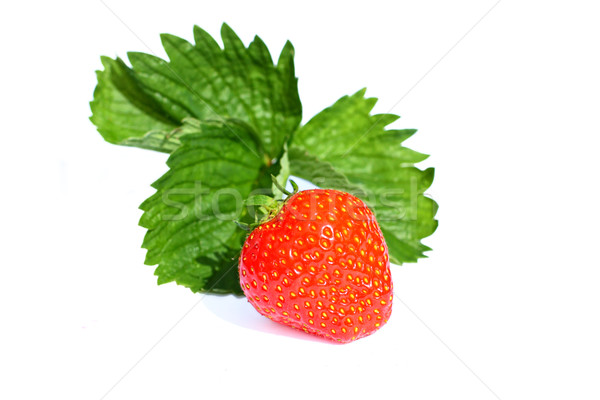 Red strawberry on white  Stock photo © Julietphotography