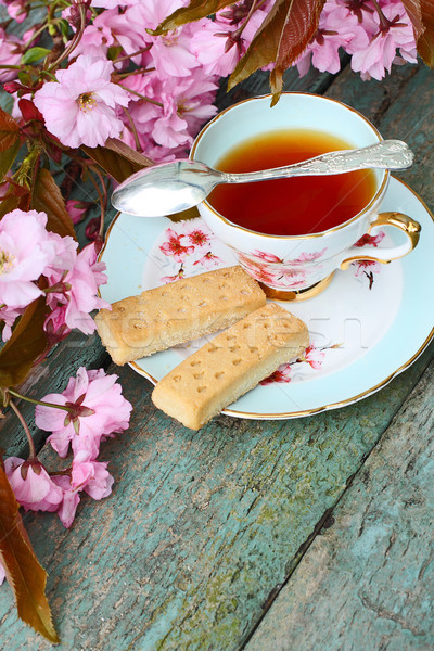 Foto d'archivio: Bella · japanese · ciliegio · albero · Cup · tè