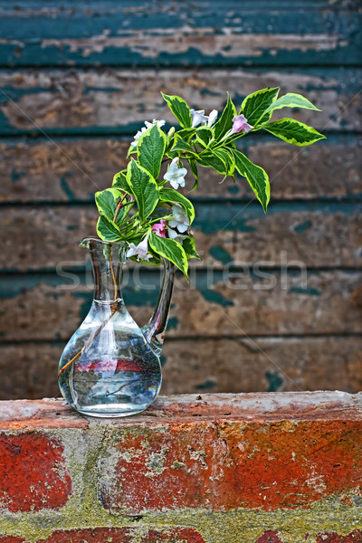 A branch of Spring flowers in a glass vase Stock photo © Julietphotography