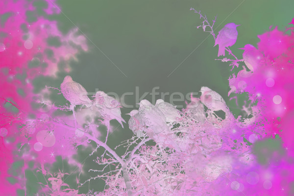 Stock photo: Dreamy scene with starling birds in the garden 