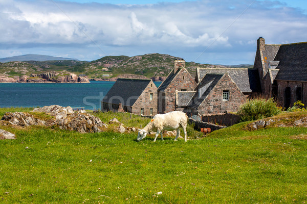 Iona Abbey, Scotland Stock photo © Julietphotography