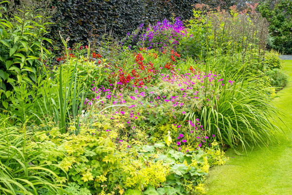 Beautiful walled garden, UK Stock photo © Julietphotography
