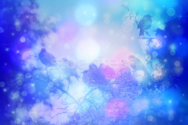 álomszerű téli tájkép madarak fa ágak kert Stock fotó © Julietphotography