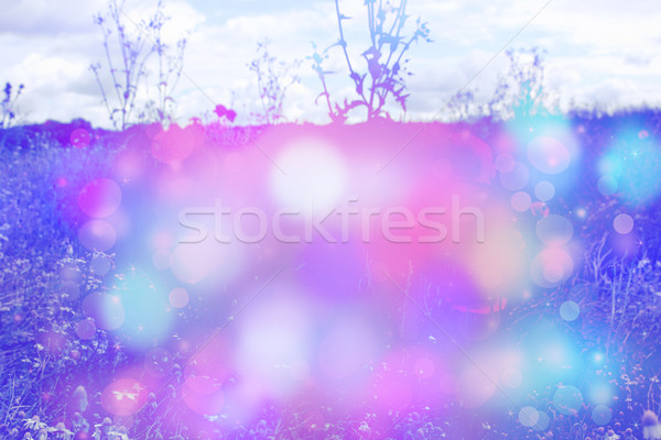 Beautiful dreamy background with meadow and bokeh lights Stock photo © Julietphotography
