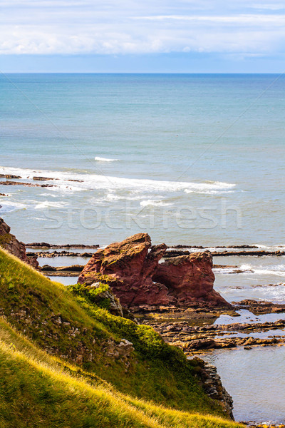 Berwickshire Coastal Path, view on the Cove Bay, Scotland, UK Stock photo © Julietphotography