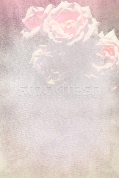 Pretty floral, textured background Stock photo © Julietphotography
