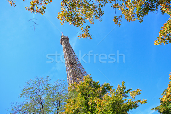 艾菲爾鐵塔 巴黎 法國 旅行 顏色 建築 商業照片 © Julietphotography