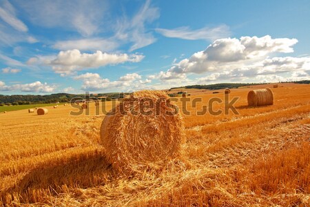 Scenic landscape with haybales Stock photo © Julietphotography