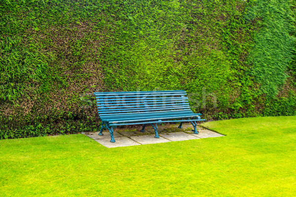 Braun Holz Garten Bank grünen Gras grünen Stock foto © Julietphotography