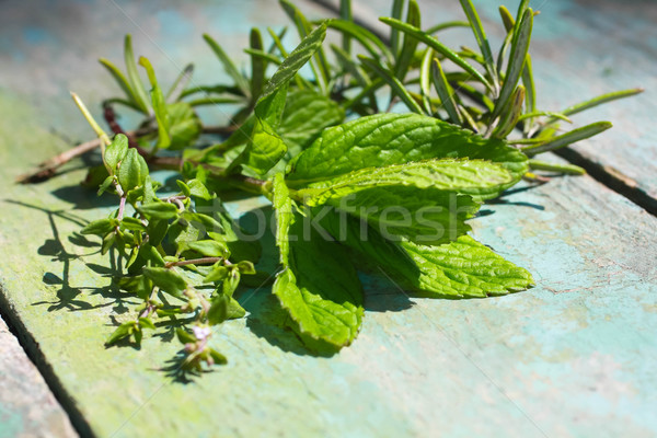 Friss gyógynövények menta levelek tavasz étel Stock fotó © Julietphotography