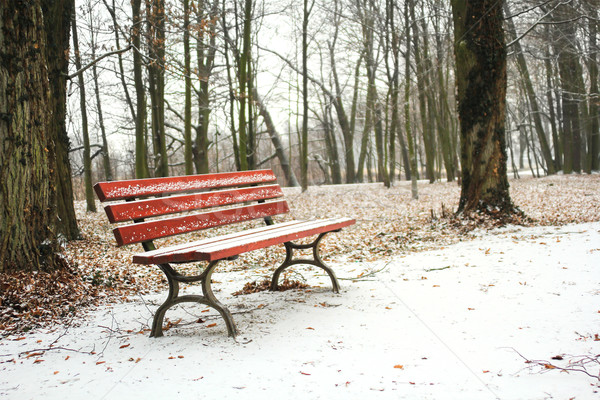 ed bench in the park covered with snow in winter Stock photo © Julietphotography