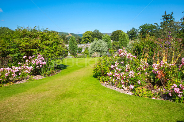 Beautiful landscaped summer garden Stock photo © Julietphotography
