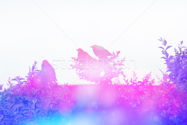 Dreamy scene with starling birds on the rooof in the garden  Stock photo © Julietphotography