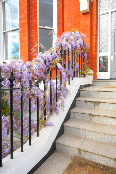 Hermosa flores fuera casa escaleras sol Foto stock © Julietphotography