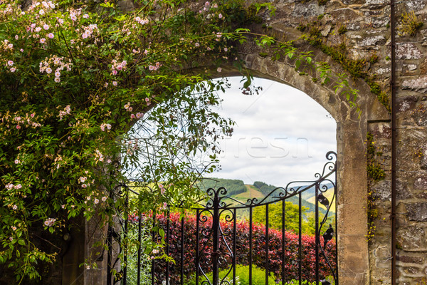 Beautiful, old garden gate with ivy and climbing roses Stock photo © Julietphotography