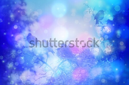 Dreamy winter scene with starling birds sittin on the tree branches in the garden  Stock photo © Julietphotography