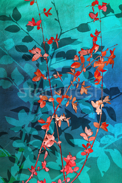 Frumos artistic roşu frunze albastru natură Imagine de stoc © Julietphotography
