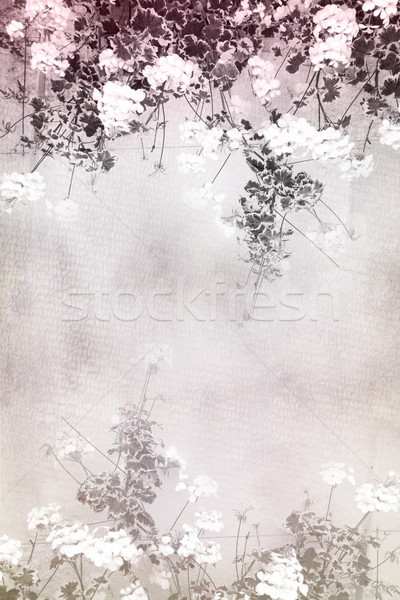 Pretty floral, textured background Stock photo © Julietphotography