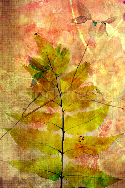 Frumos artistic ferigă frunze proiect fundal Imagine de stoc © Julietphotography