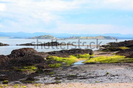 Black Sands beach, Aberdour, Scotland. Stock photo © Julietphotography