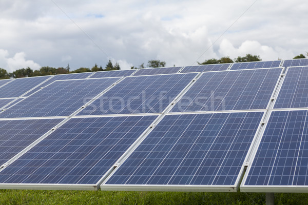 Field with blue siliciom solar cells alternative energy Stock photo © juniart