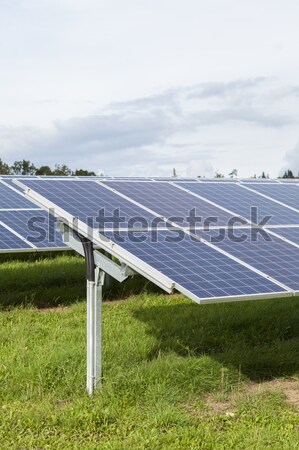 Field with blue siliciom solar cells alternative energy Stock photo © juniart