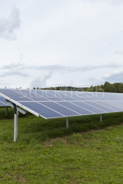 Campo azul solar alternativa energía sol Foto stock © juniart