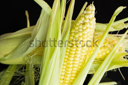 Fresh corn on the cob over a black background Stock photo © juniart