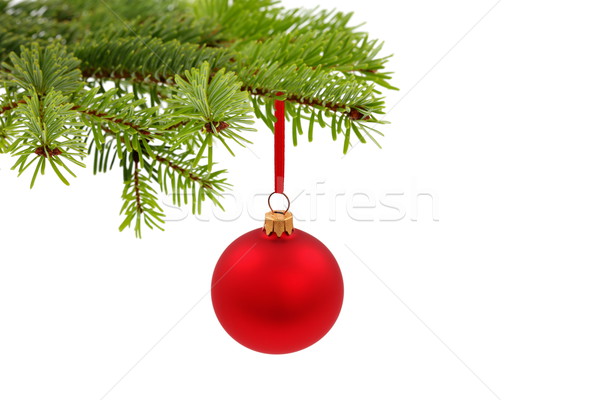 [[stock_photo]]: Noël · temps · evergreen · épinette · arbre · verre